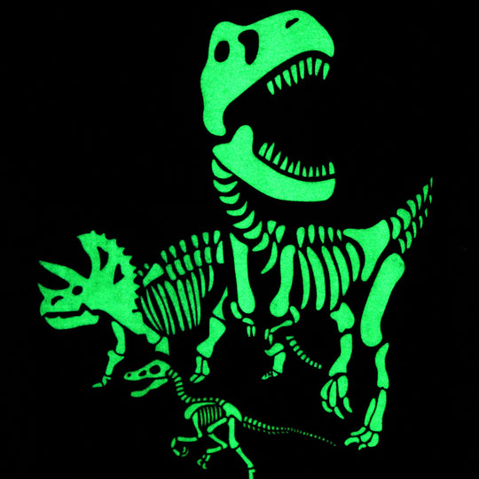 Jungen T-Shirt mit aufregendem Dinosaurier-Skelett-Design EB