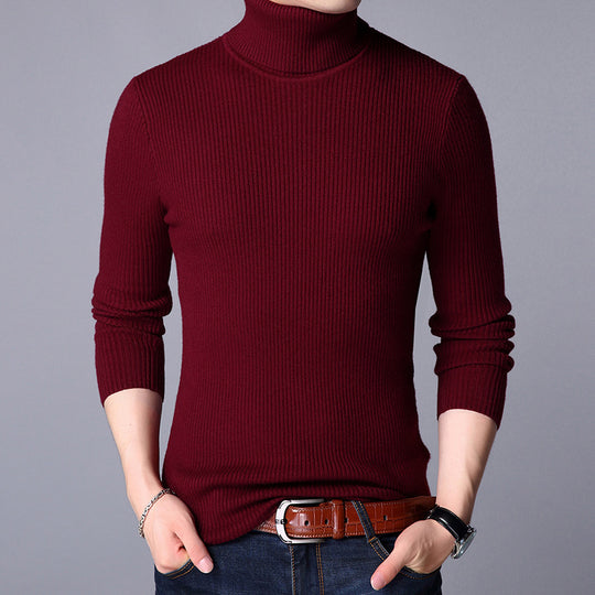 Herren Feinstrickpullover EB