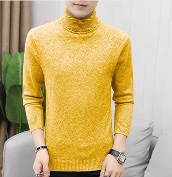 Herren eleganter Rollkragenpullover aus feiner Merinowolle EB