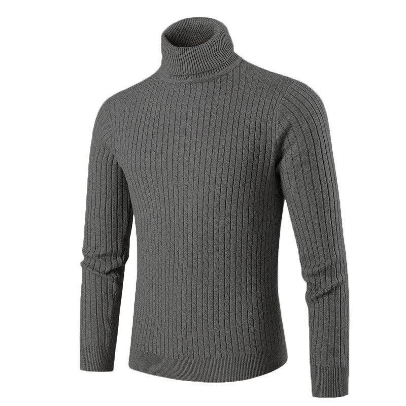 Herren modischer Rollkragenpullover aus strukturiertem Strick EB