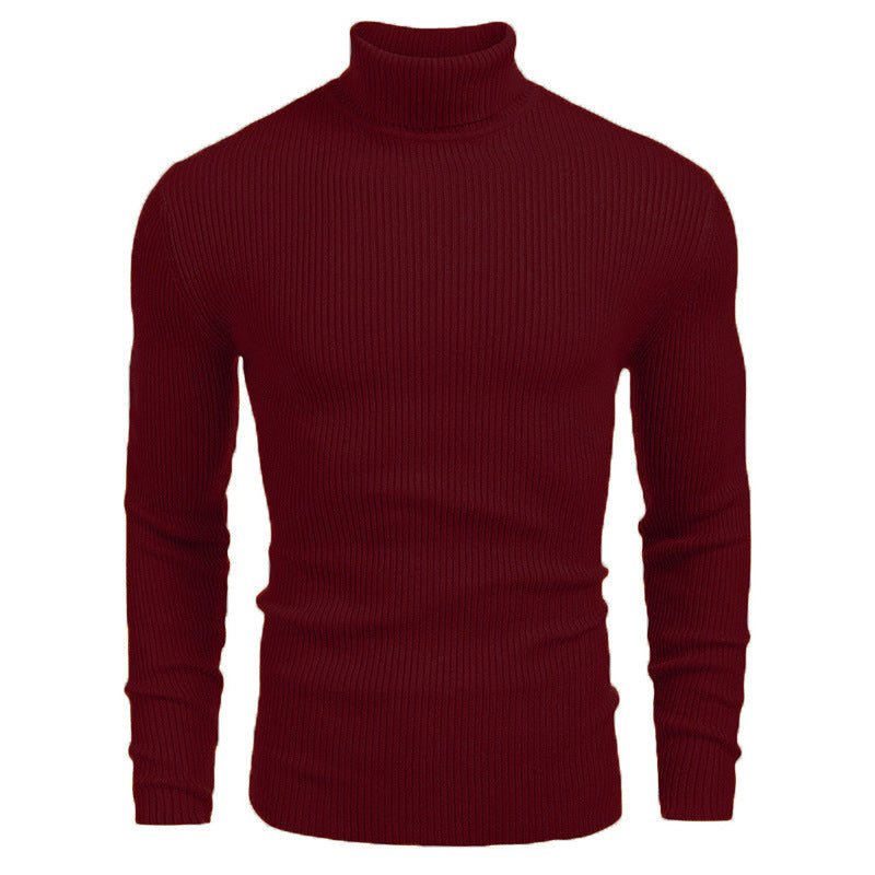 Herren Rollkragenpullover aus feinem Rippstrick EB