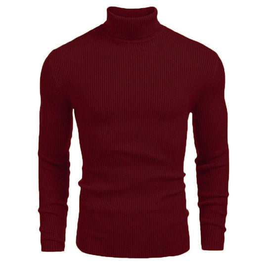 Herren Rollkragenpullover aus feinem Rippstrick EB