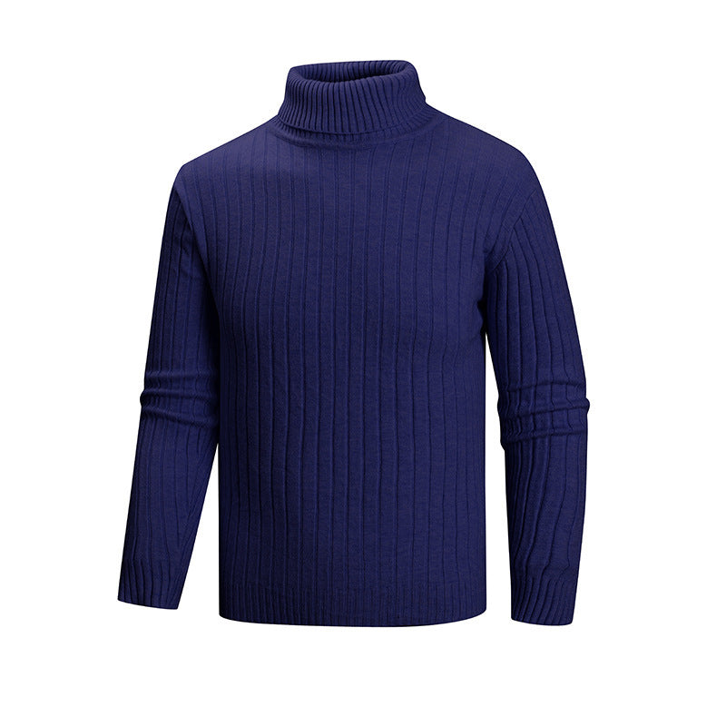 Herren Strickpullover mit Stehkragen EB