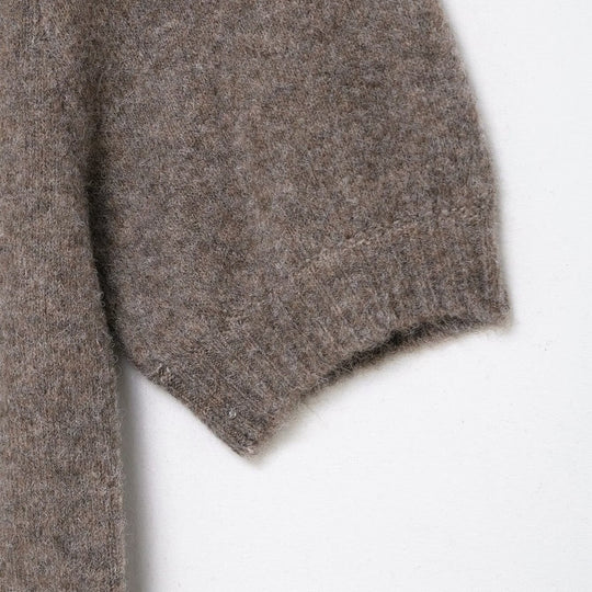 Damen Strickkleid mit kurzem Arm und hochgeschlossenem Kragen EB