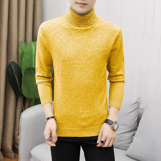 Herren nan figurbetonter Rollkragenpullover aus Feinstrick mit elastischer Passform EB