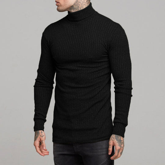 Herren modisches Langarmshirt mit Rollkragen EB