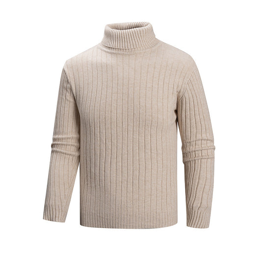 Herren Strickpullover mit Stehkragen EB