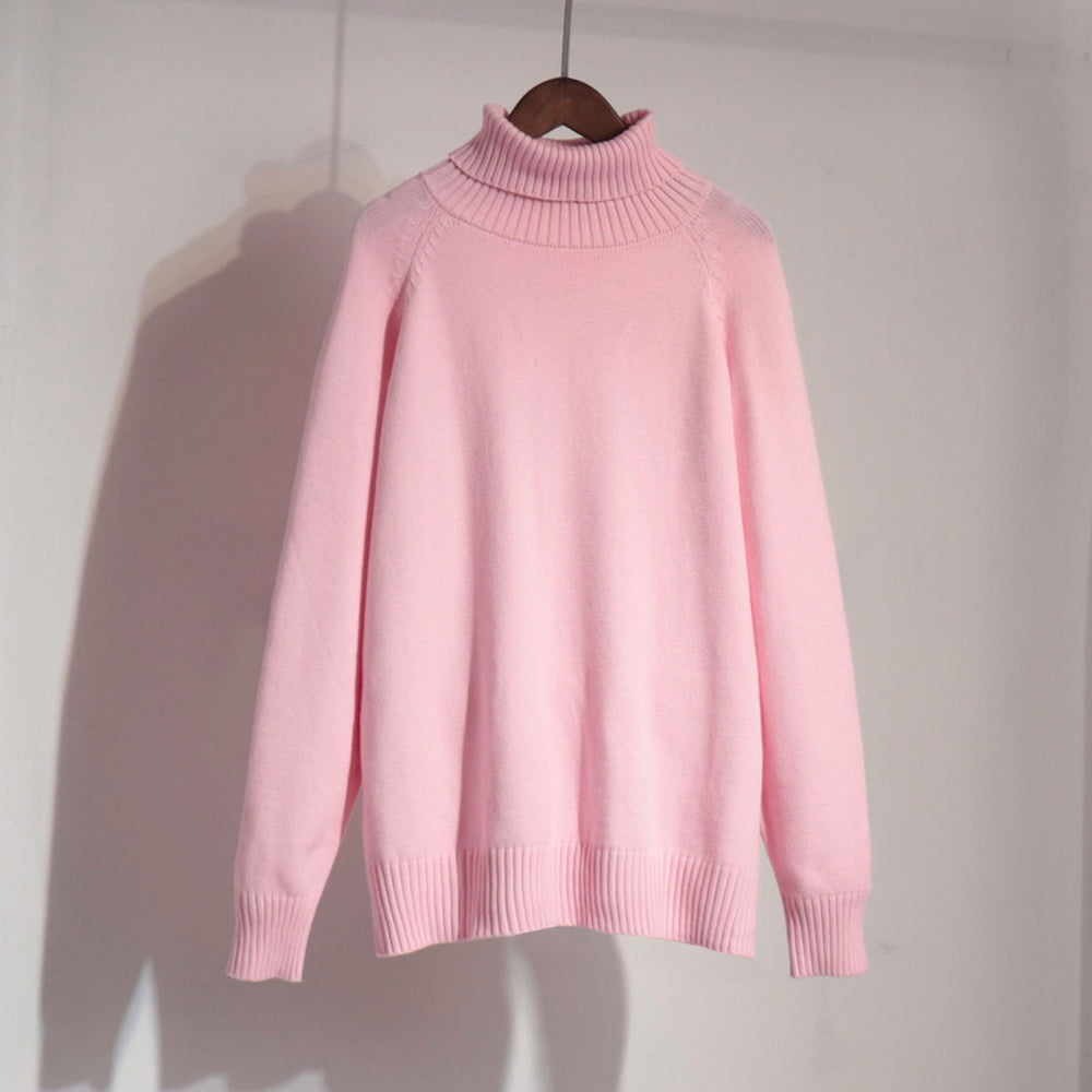 Damen Feinstrickpullover mit hohem Kragen EB
