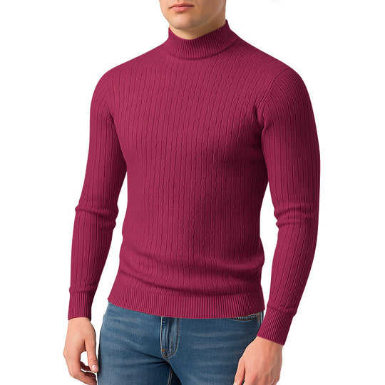 Herren modischer Rollkragenpullover mit strukturierter Oberfläche EB