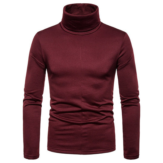 Herren Rollkragenpullover aus weichem Strickmaterial EB