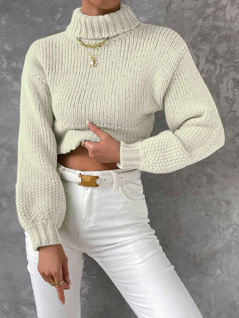 Damen trendiger Pullover mit hoch geschlossenem Kragen und voluminösen Ärmeln EB