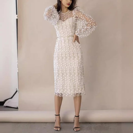 Damen Kleid mit transparenten Puffärmeln und floralem Stickdesign EB