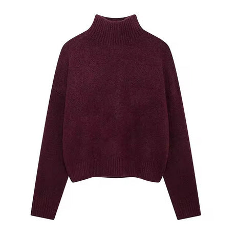 Damen Kuscheliger Rollkragenpullover EB