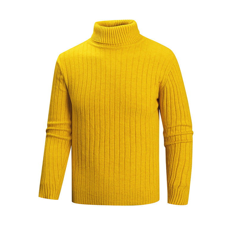 Herren Rollkragenpullover aus hochwertigem Feinstrick EB