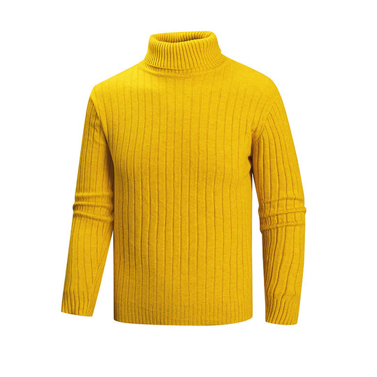 Herren Rollkragenpullover aus hochwertigem Feinstrick EB