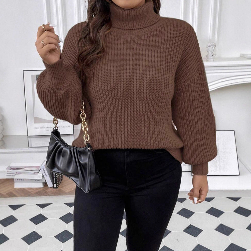 Damen Gemütlicher chunky Pullover mit Rollkragen und strukturiertem Strick EB
