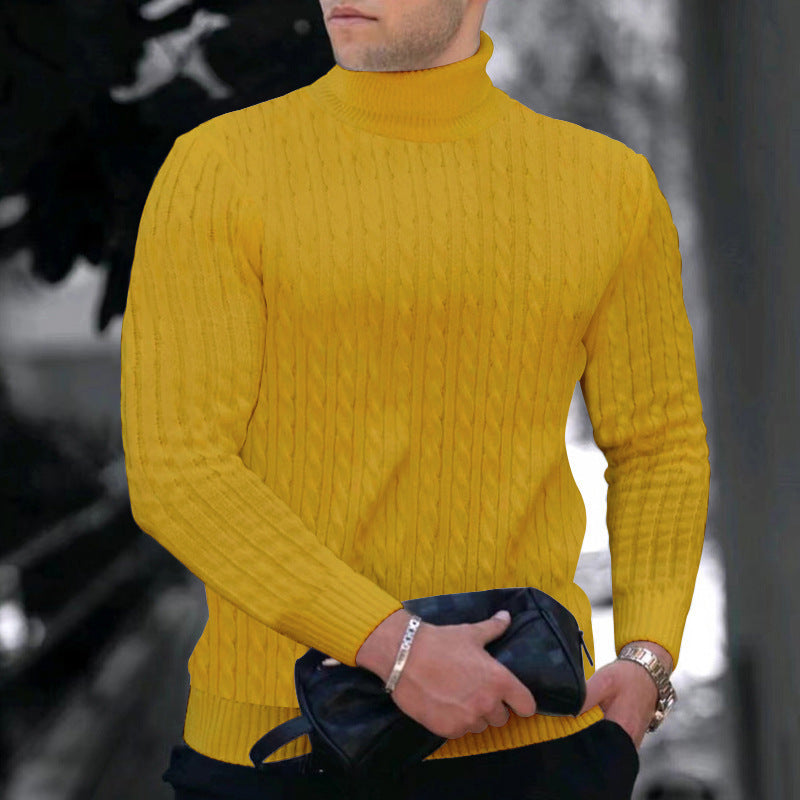 Herren eleganter Rollkragenpullover mit exquisiter Zopfmusterstruktur EB
