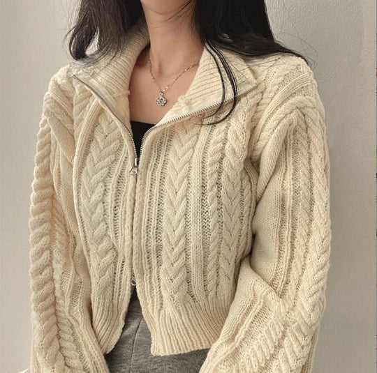 Damen modische Strickjacke mit strukturiertem Zopfmuster und kurzem Schnitt EB