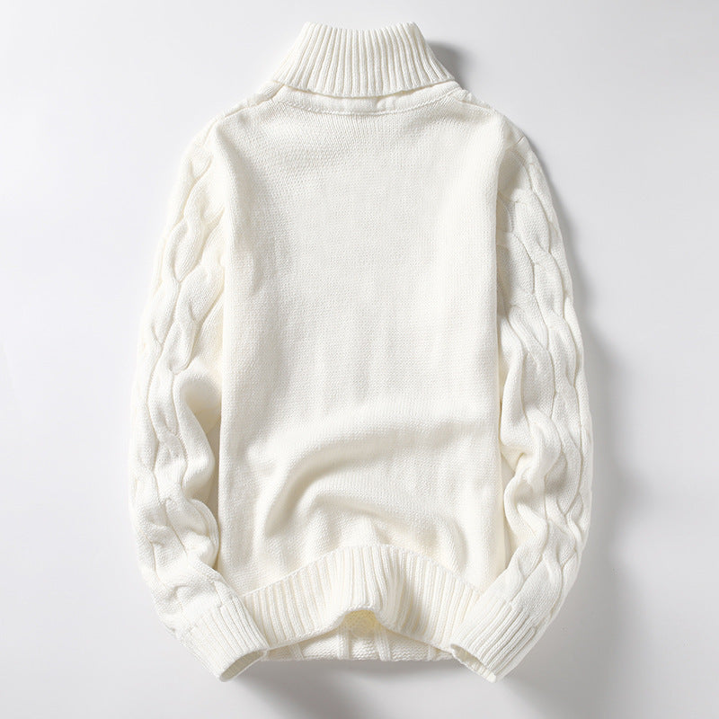 Herren Strickpullover mit Rollkragen und Zopfmuster EB