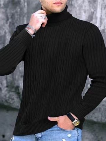 Herren Rollkragenpullover mit strukturiertem Strickmuster EB