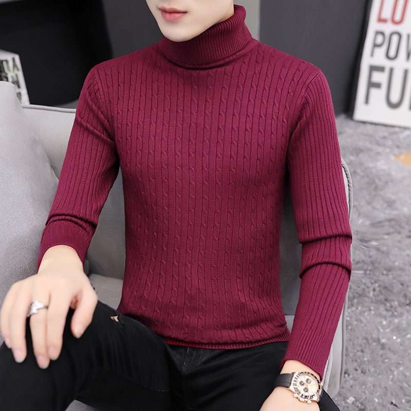 Herren Rollkragenpullover im stilvollen Rippstrickdesign EB
