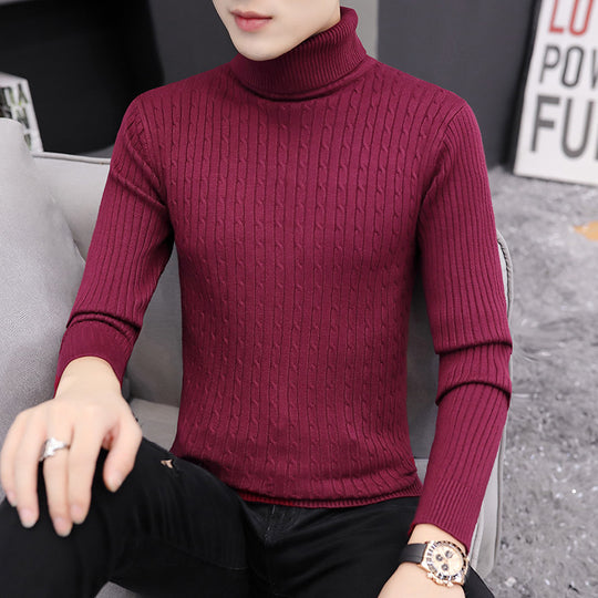 Herren Rollkragenpullover im stilvollen Rippstrickdesign EB