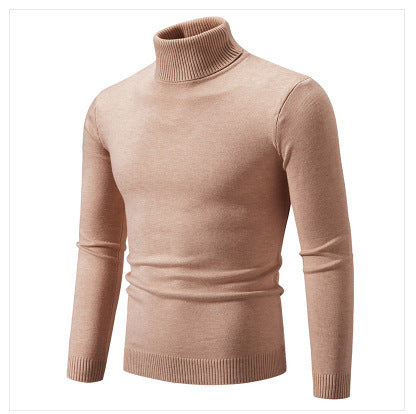 Herren Rollkragenpullover aus weichem Feinstrick EB