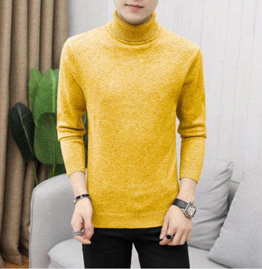 Herren Rollkragenpullover aus hochwertiger Baumwolle EB