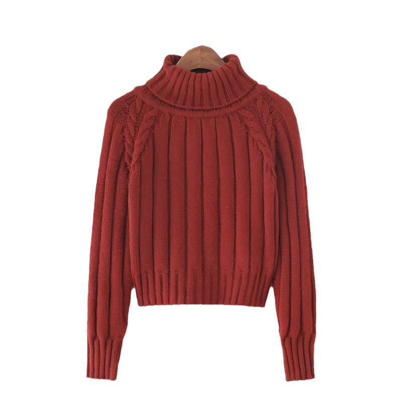 Damen Strickpullover mit hohem Kragen und Rippstruktur EB