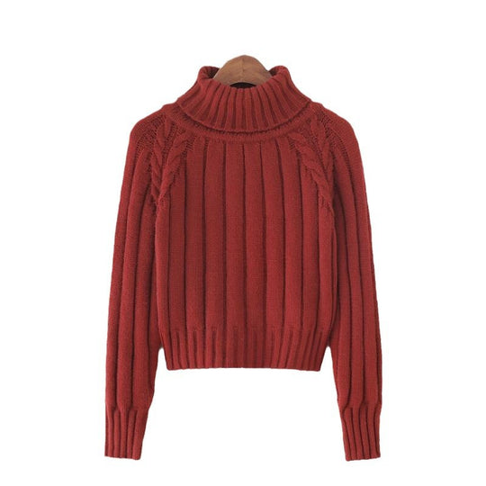 Damen Strickpullover mit hohem Kragen und Rippstruktur EB
