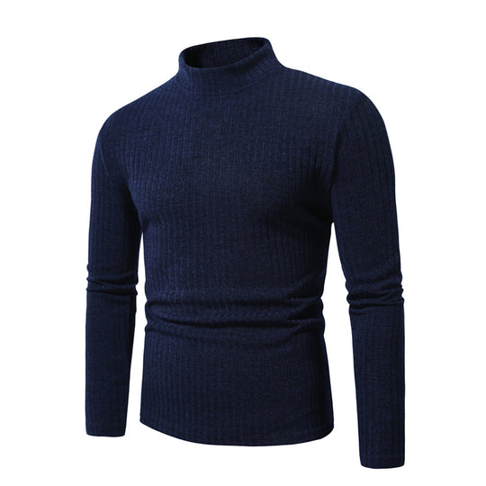 Herren feinstrickender Rollkragenpullover EB