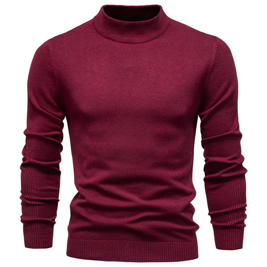 Herren Rollkragenpullover aus weichem Strickmaterial mit feiner Rippstruktur EB