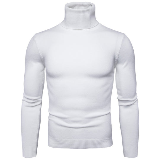Herren Rollkragenpullover aus weichem Strick EB