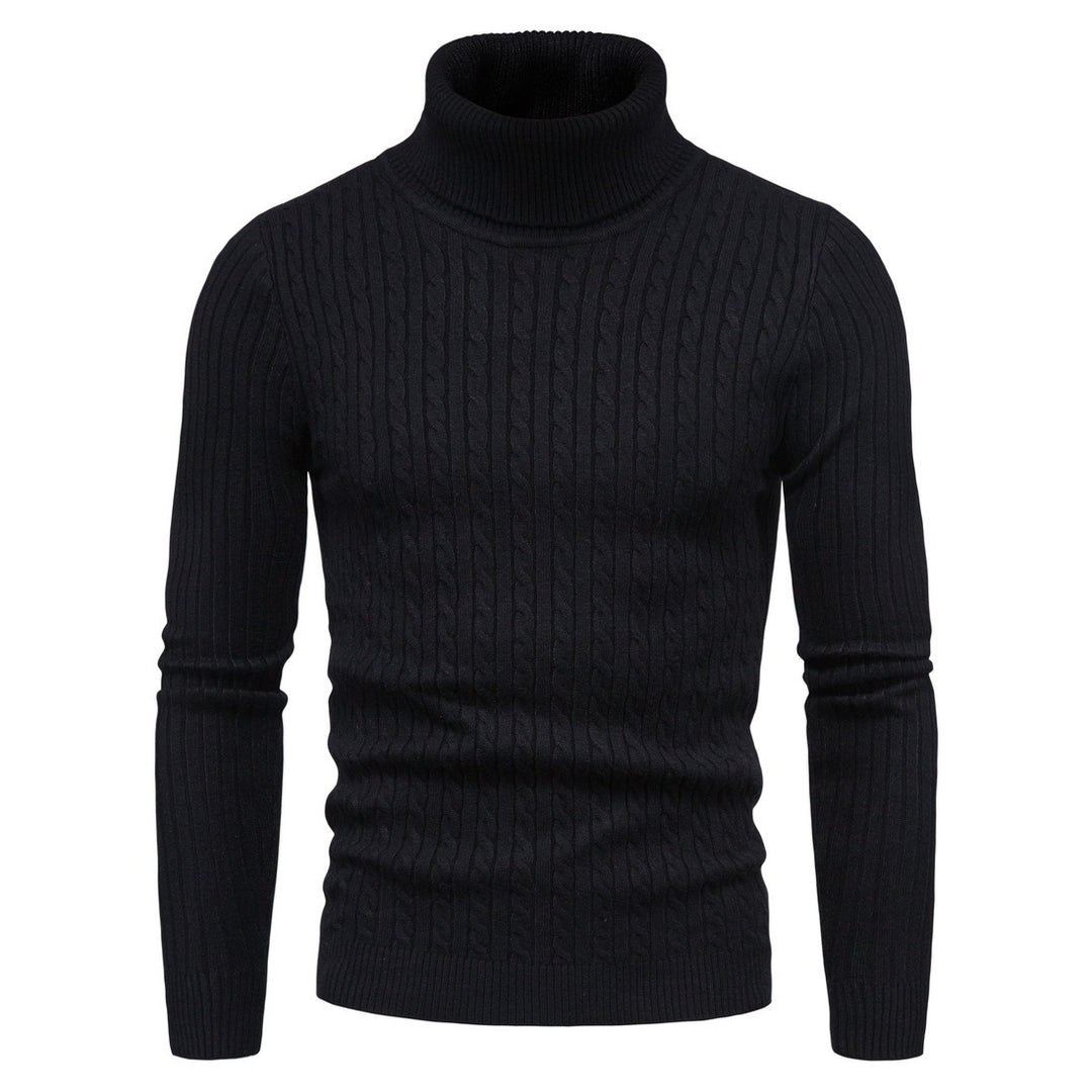 Herren komfortabler Rollkragenpullover EB