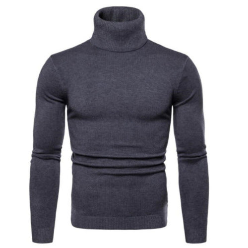 Herren Rollkragenpullover aus weichem Feinstrick EB