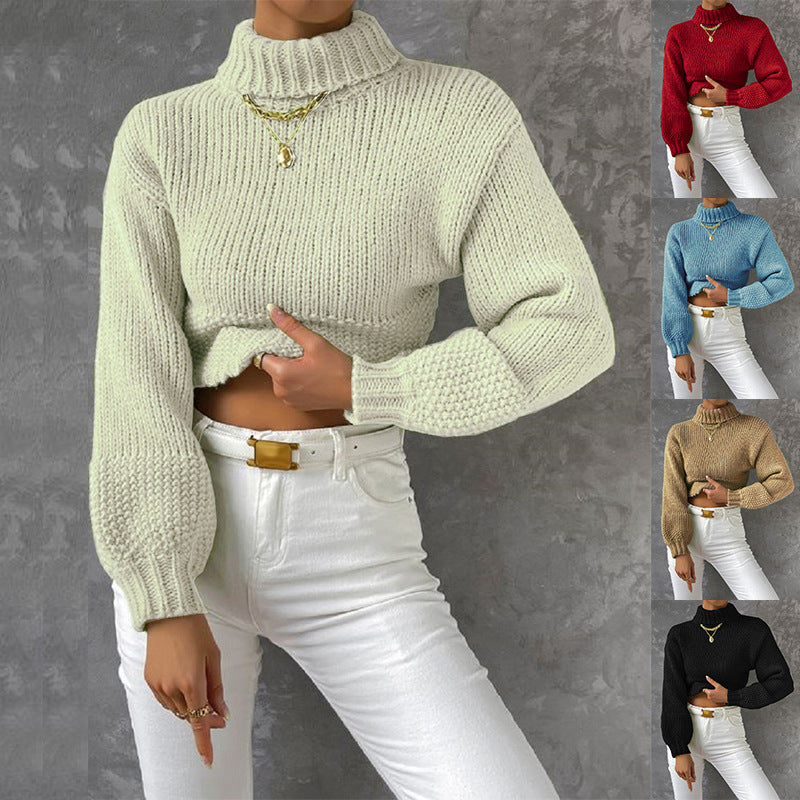 Damen Grobstrick Pullover mit hohem Kragen EB