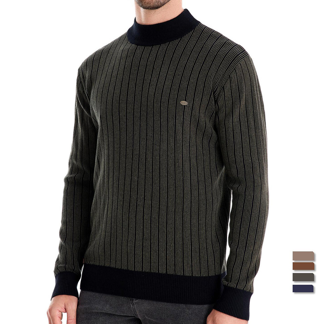 Herren Feinstrickpullover mit Rollkragen und Streifenmuster EB