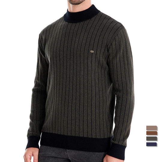 Herren Feinstrickpullover mit Rollkragen und Streifenmuster EB