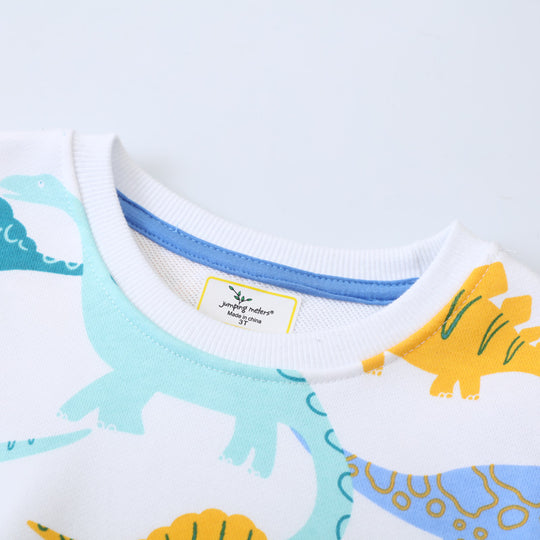Jungen Sweatshirt mit buntem Dinosaurier-Design EB