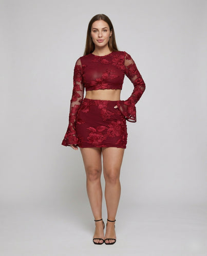 Damen Bestickte Trompetenärmel Mesh Mesh-Crop-Top-Set