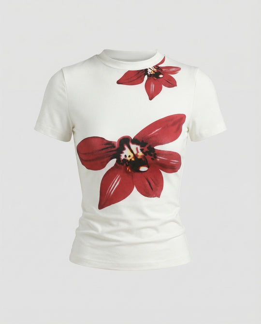 Product 15587048063306 - product_only