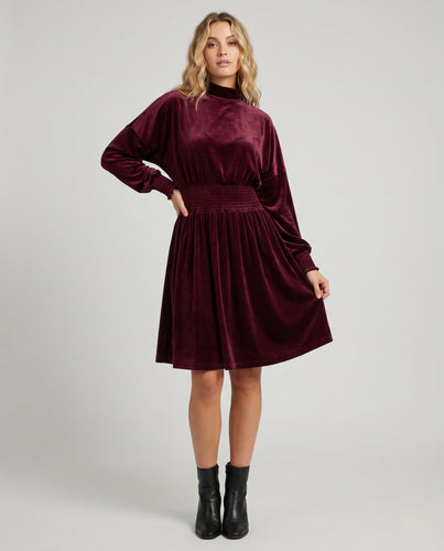 Damen Elegantes Samtkleid mit langem Arm und Taillierung EB