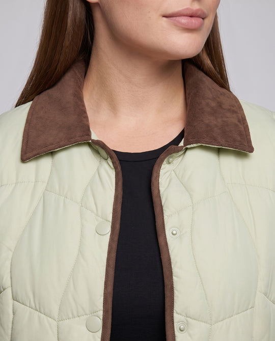 Product 15966036984138 - close_up_detail