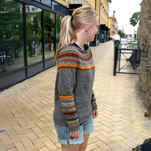 EB | Retro Damenpullover Mit Print