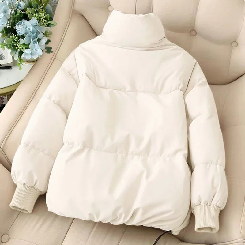 EB | Winter-Pufferjacke mit Reißverschluss und Eingeschnittenem Kragen