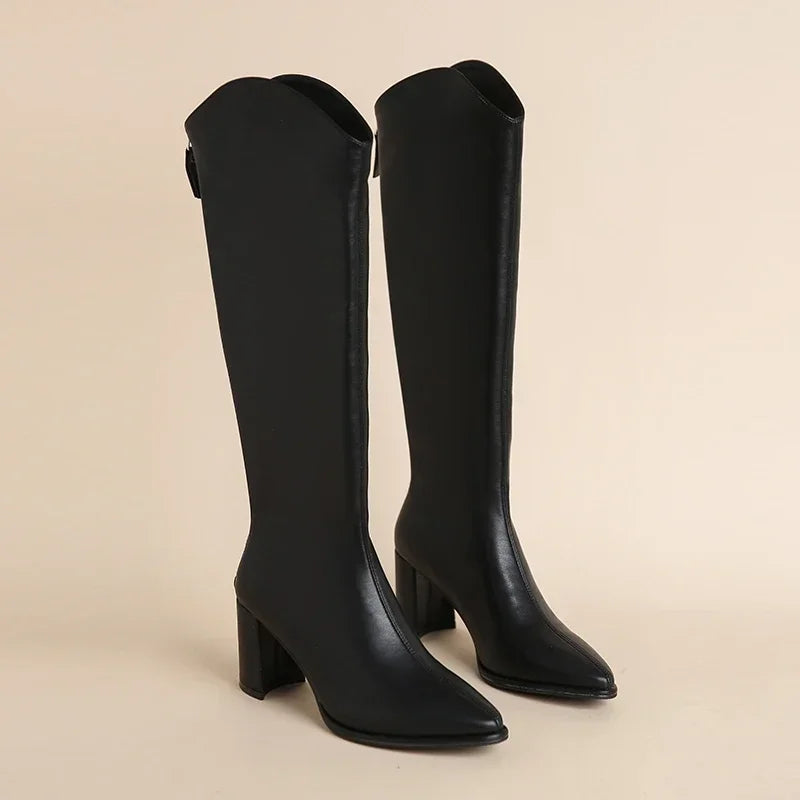 EB | Kniehohe Stiefel mit Dicken Hohen Absätzen