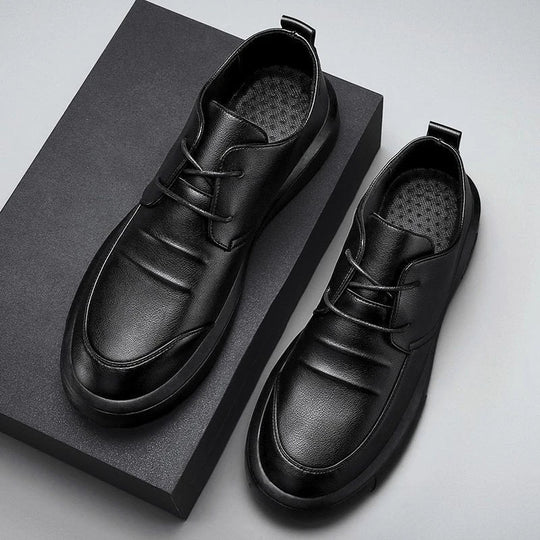 Elegante Herrenschuhe EB