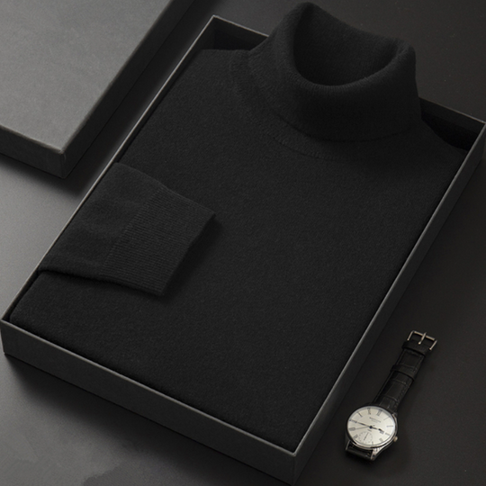 EB | Stilvolle Rollkragenpullover