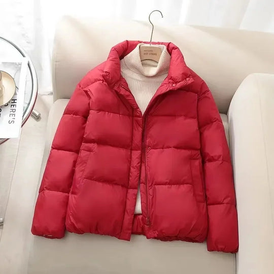 EB | Pufferjacke – Gequiltet Isoliert – Hoher Kragen – Reißverschluss – Warm Dick