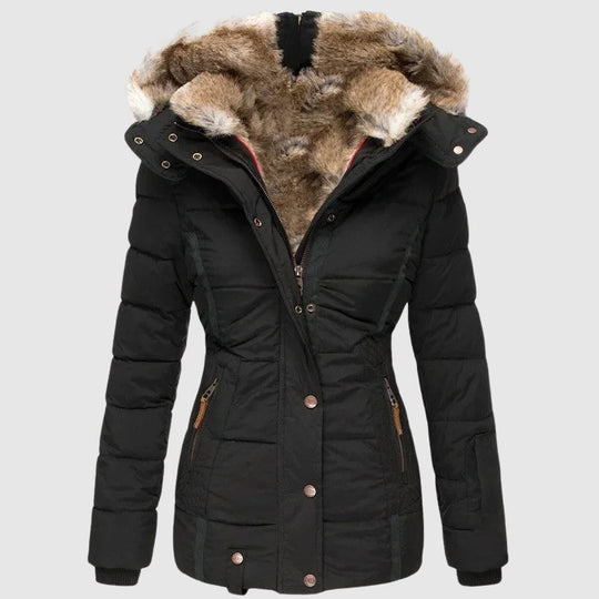EB | Arctic Hooded Jacket